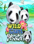 เกมส์ เล่น สล็อต ออนไลน์ ที่คุณไม่ควรพลาด